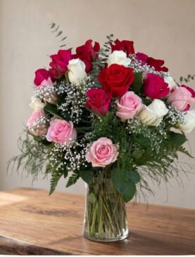 BELLA ROSA -2 DZ premium roses( in vase)